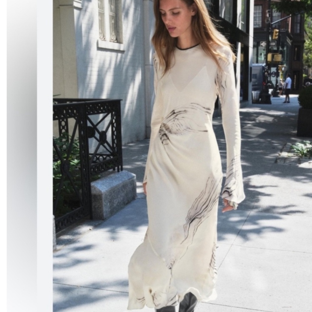 NWT Zara dress